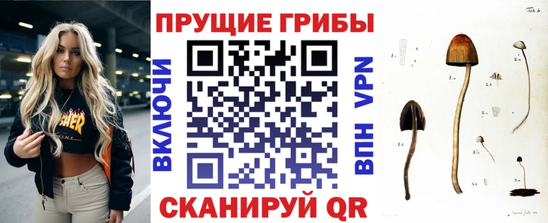 Галлюциногенные грибы мицелий  mega ТОР  Нестеров  где найти  